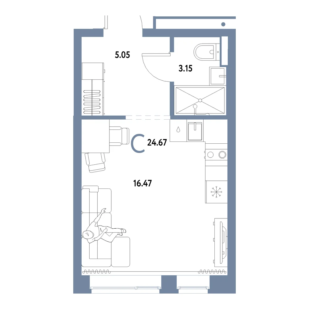 Планировка: Домашний Студия 24,67м²