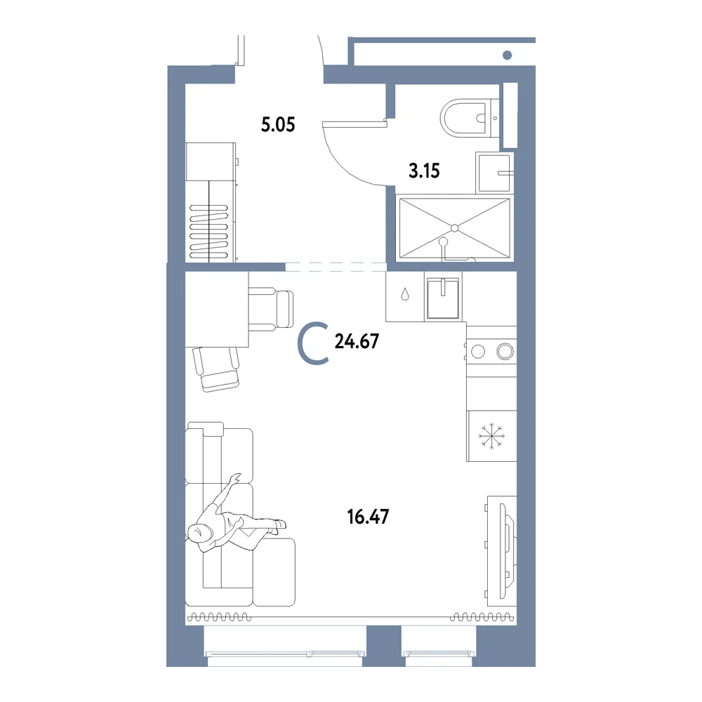 Планировка: Домашний Студия 24,67м²