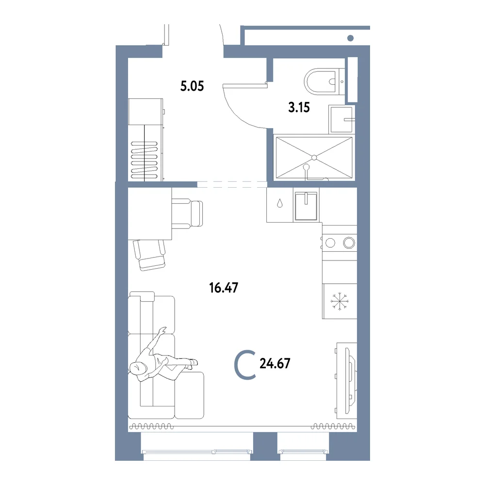 Планировка: Домашний Студия 24,67м²